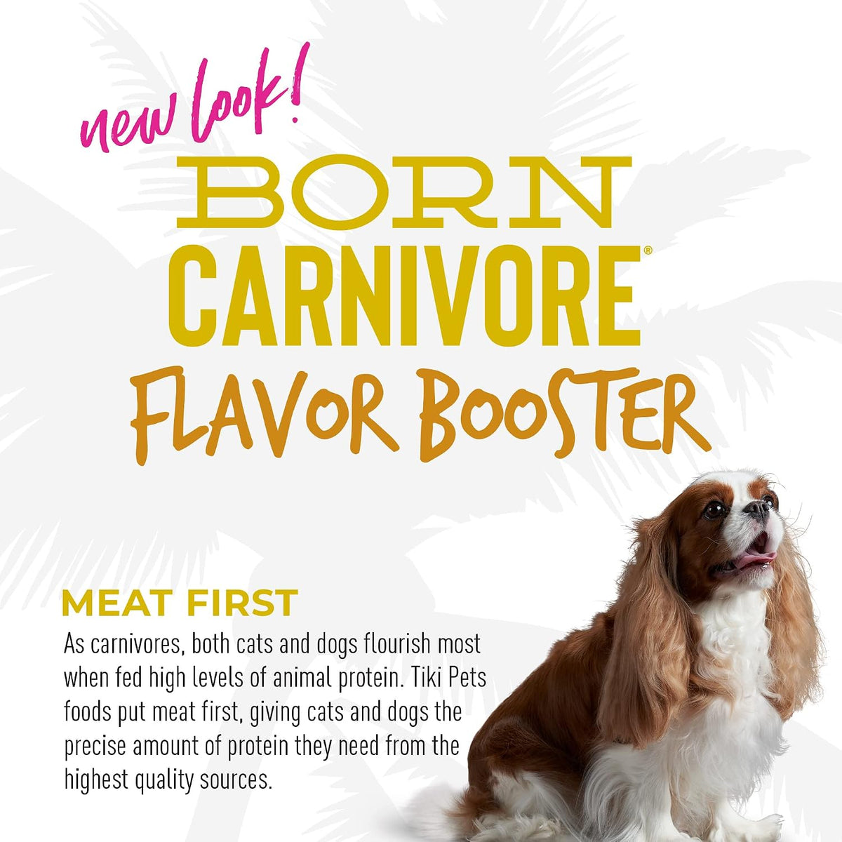 Tiki Dog chicken recipe bisque flavor booster