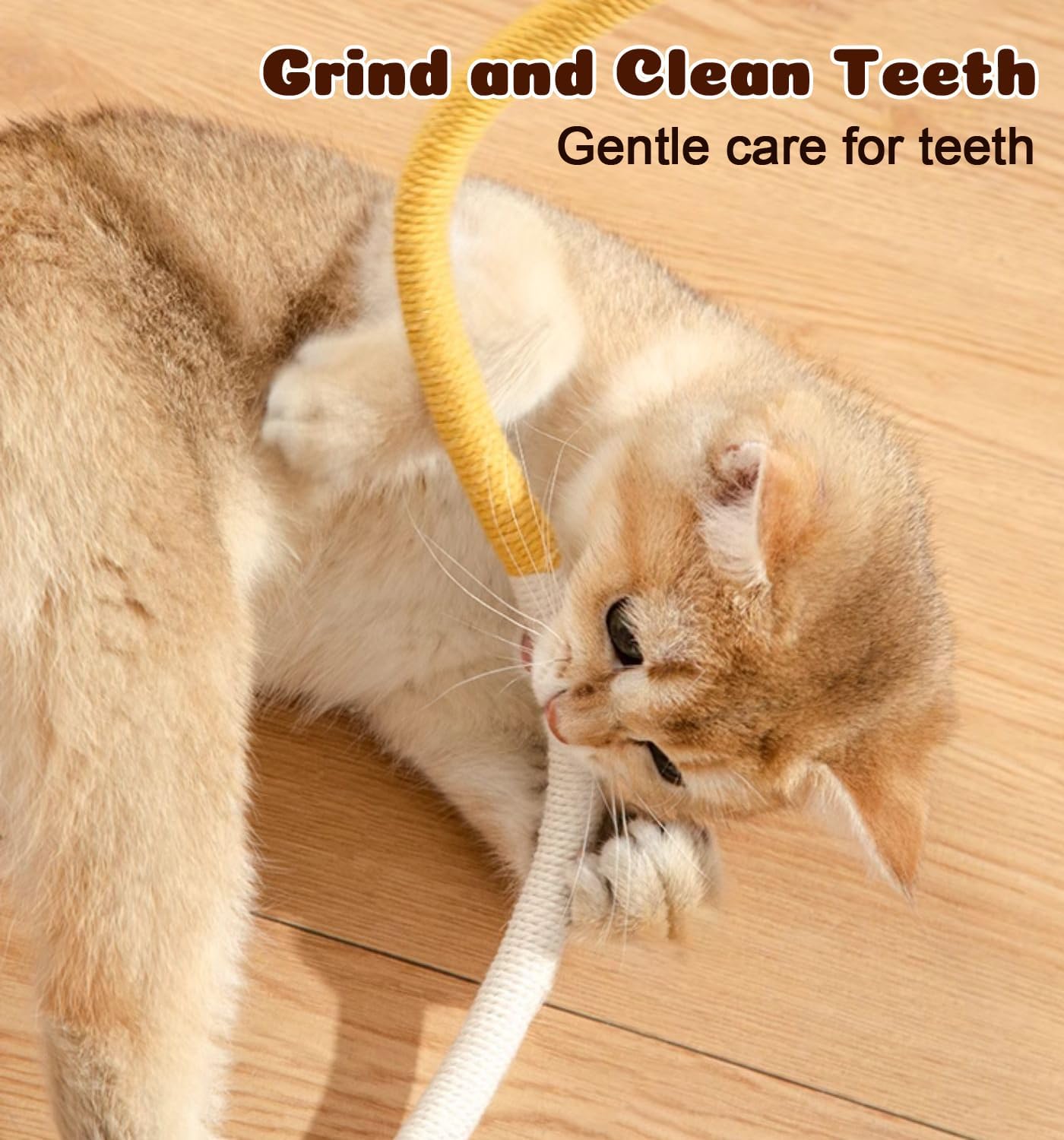 Dgerp refillable catnip toy for indoor cats