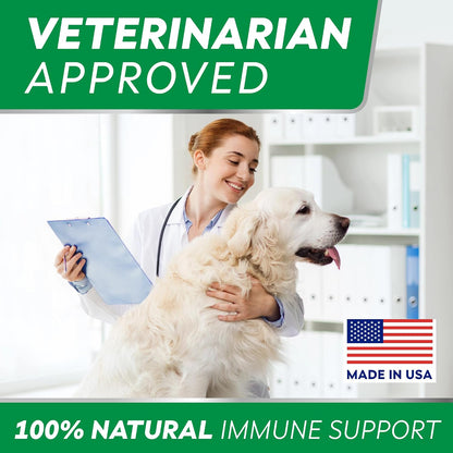 StrellaLab dog immune health support chews container on a clean background
