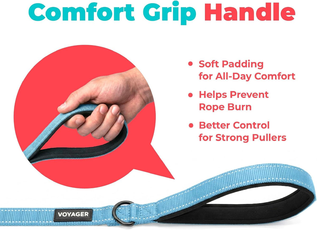 Best Pet Supplies dog leash small size laid out flat.