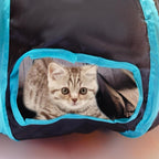 Spacious interior of Deofun cat tunnel showcasing pet-safe lining