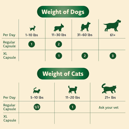 Ocu-GLO PB small breed dog and cat daily dosage instructions chart