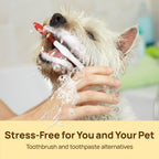 Cat and dog dental care supplies