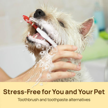 Cat and dog dental care supplies