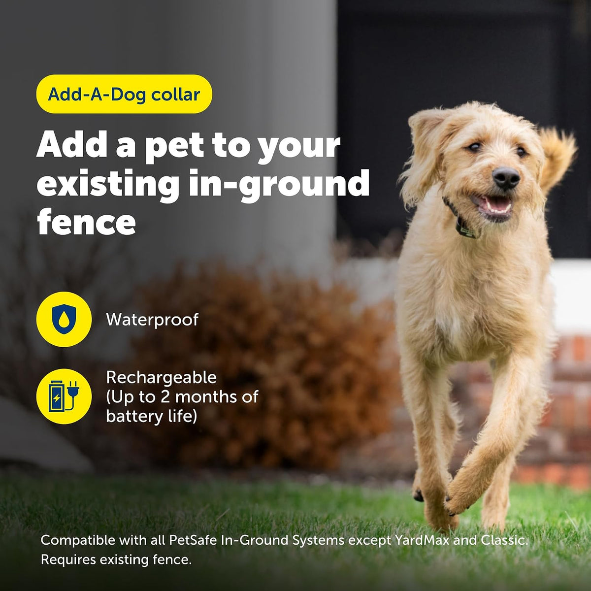 PetSafe waterproof electronic collar with adjustable strap for pet containment