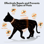 Side profile of cat wearing Allyeah natural pest repellent collar