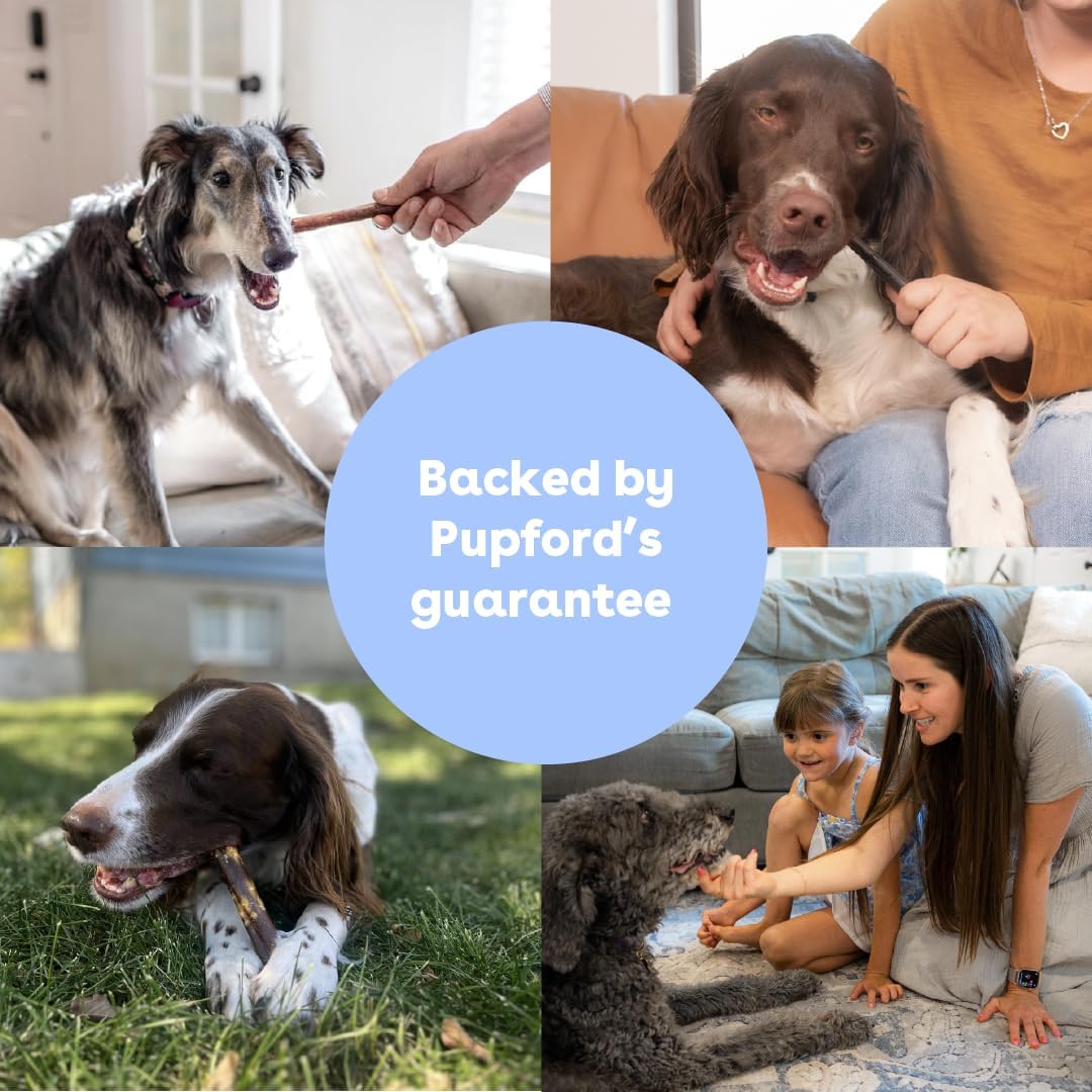 Pupford healthy durable dog chews for small and medium dogs