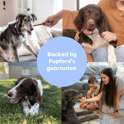 Pupford healthy durable dog chews for small and medium dogs