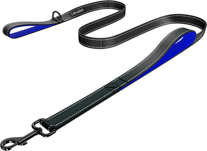 Premium USA imported LIEVUIKEN pet safety leash displayed with its anti tangle metal hardware