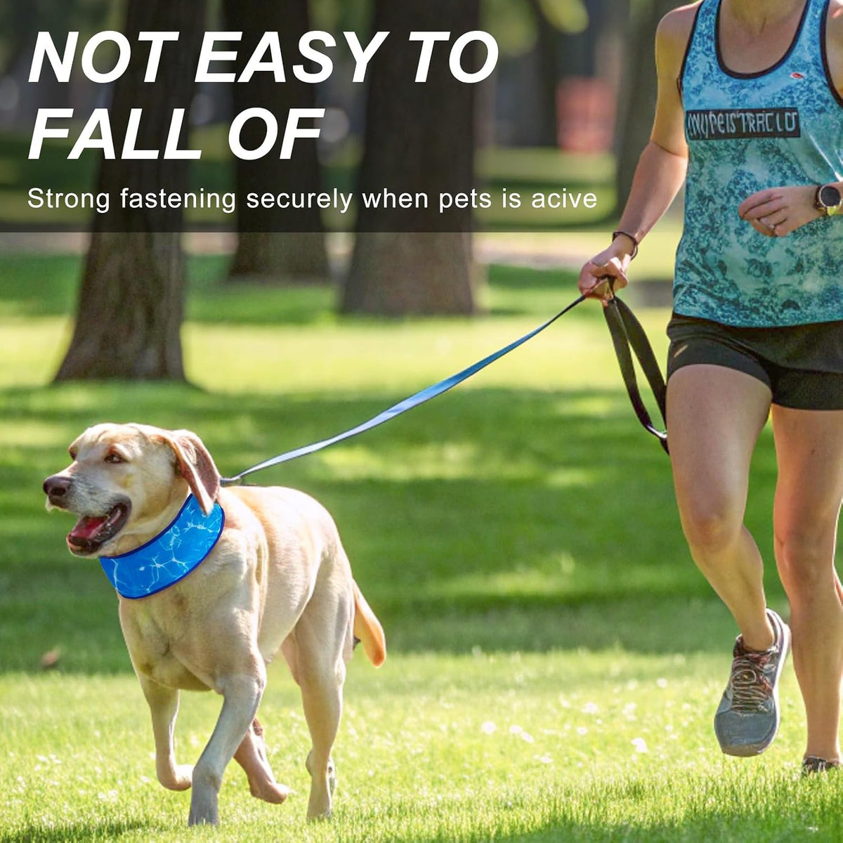 Adjustable pet ice neck cooler wrap on a medium dog