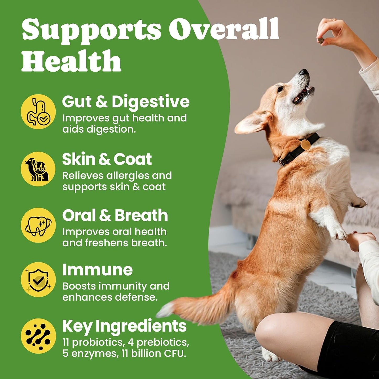 Probiotics for Dogs - Digestive & Gut Health for Sensitive Stomachs Dog Probiotics Powder for Skin & Coat, Breath and Immunity with 11 Strains, 4 Prebiotics, 5 Enzymes, Pumpkin, 60 Packets, Chicken - Image 9