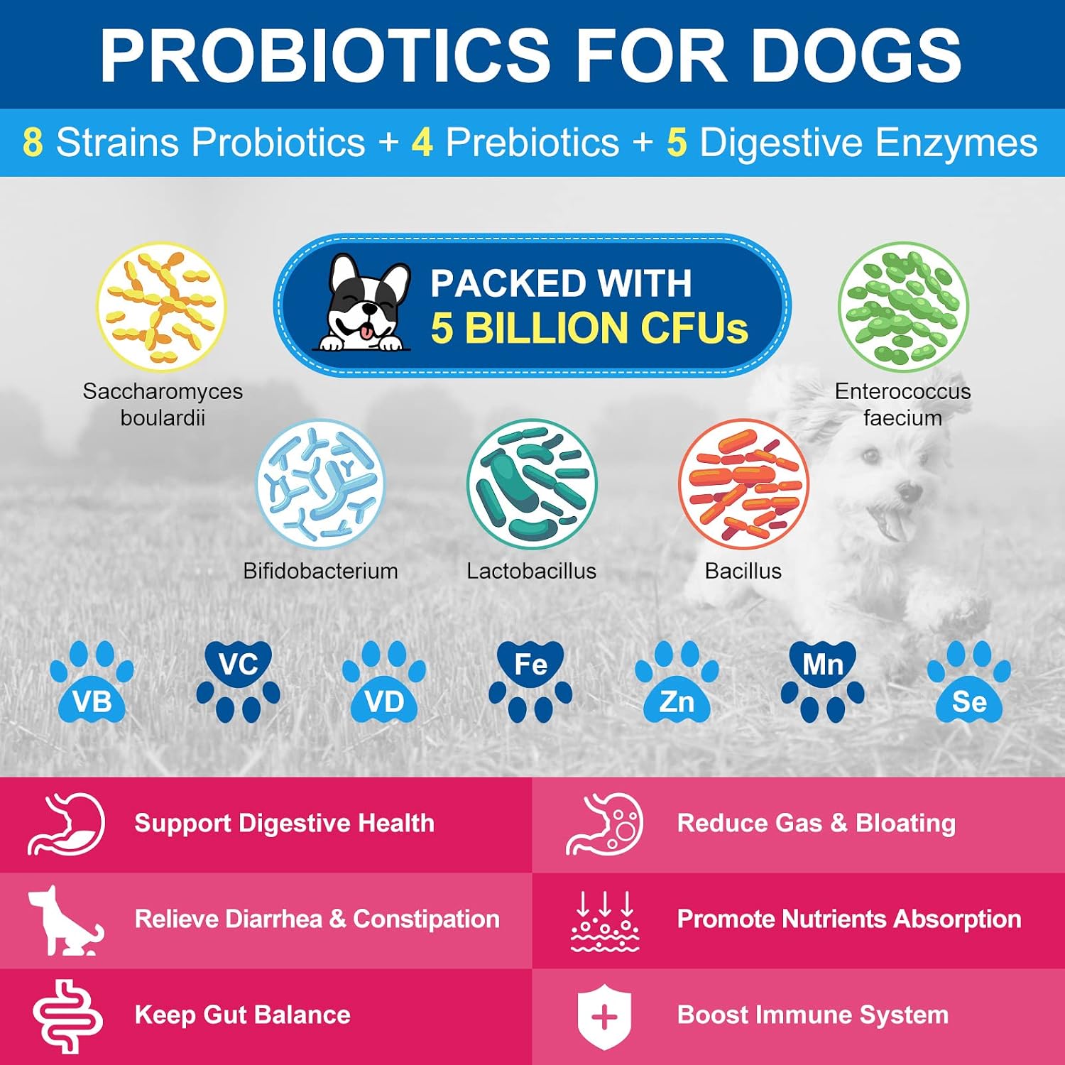 Nature Target dog probiotic and joint support supplement jar