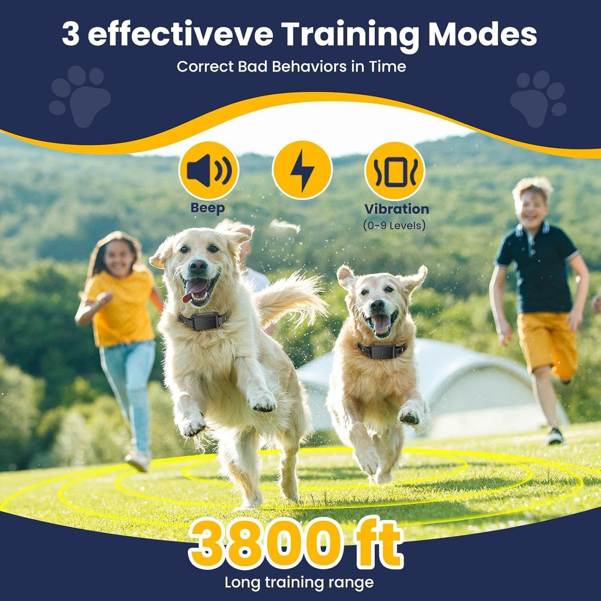 RunFence portable dog perimeter collar with adjustable strap on a medium-sized dog.