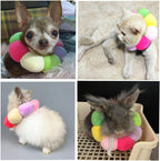 Biuemoonlake extra small pet collar designed for chinchillas and small puppies.