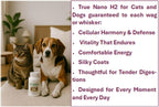 Advanced molecular hydrogen capsules for pet vitality