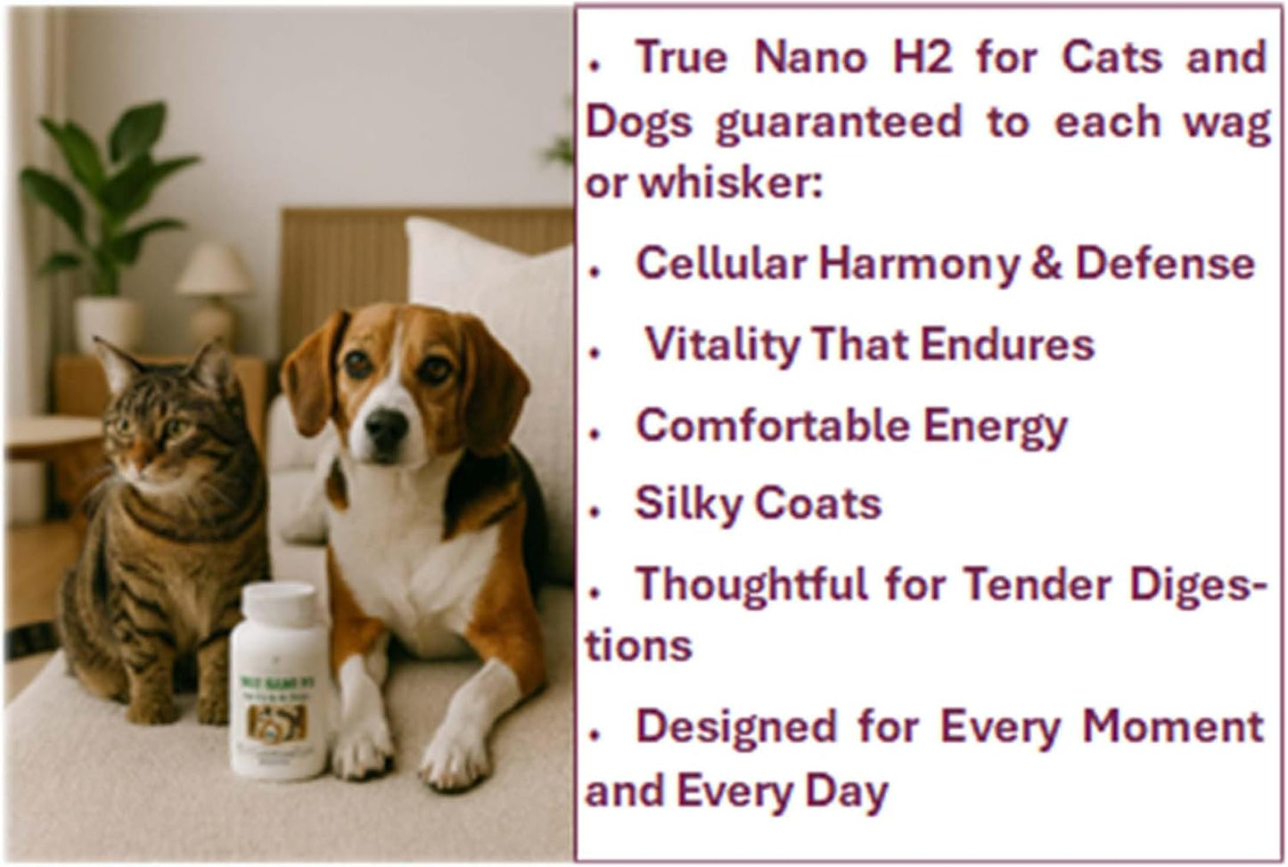 Advanced molecular hydrogen capsules for pet vitality