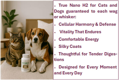 Advanced molecular hydrogen capsules for pet vitality