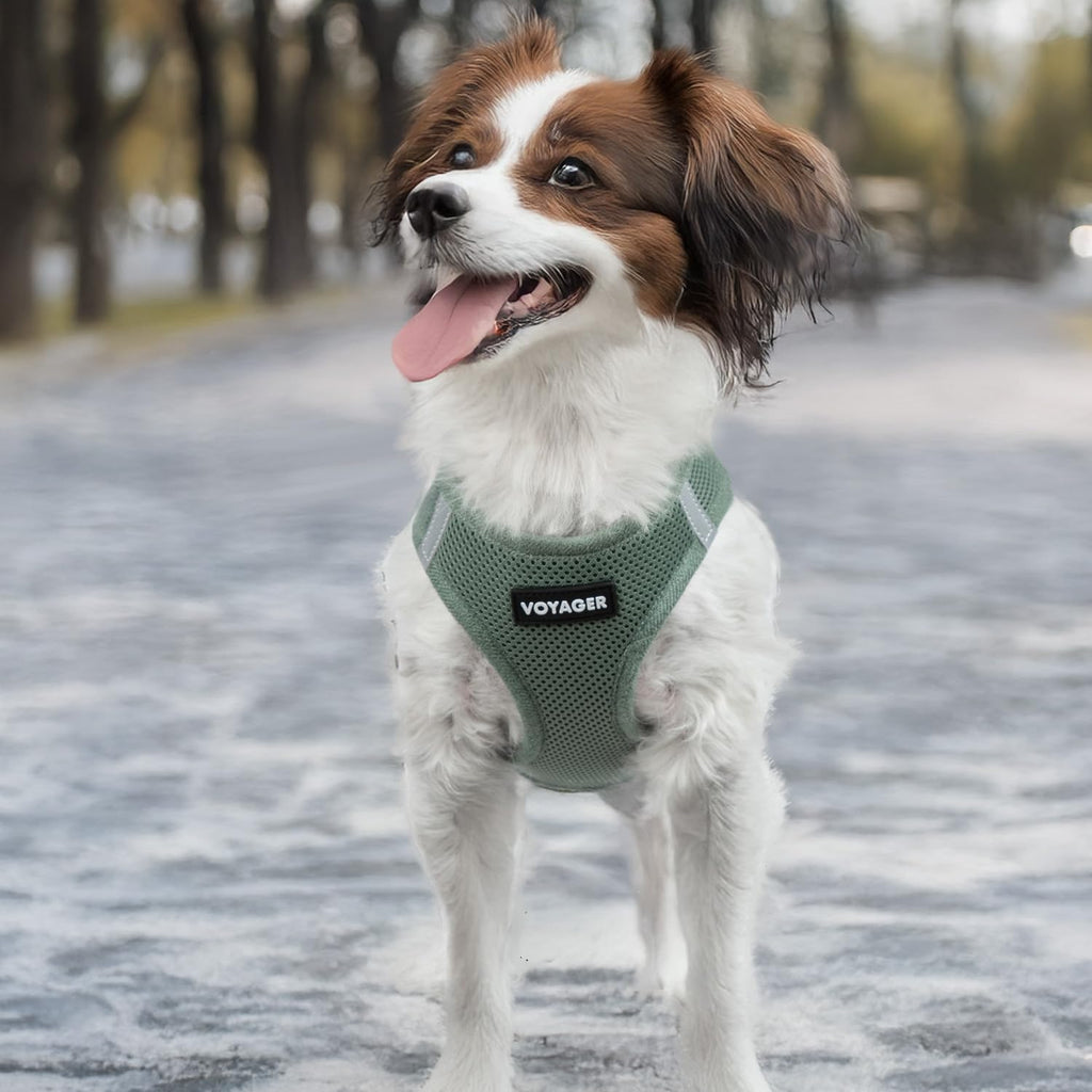 Moss green extra extra small step-in vest harness for small breeds
