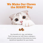 Cat enjoying Zesty Paws bacon flavored soft chew supplement