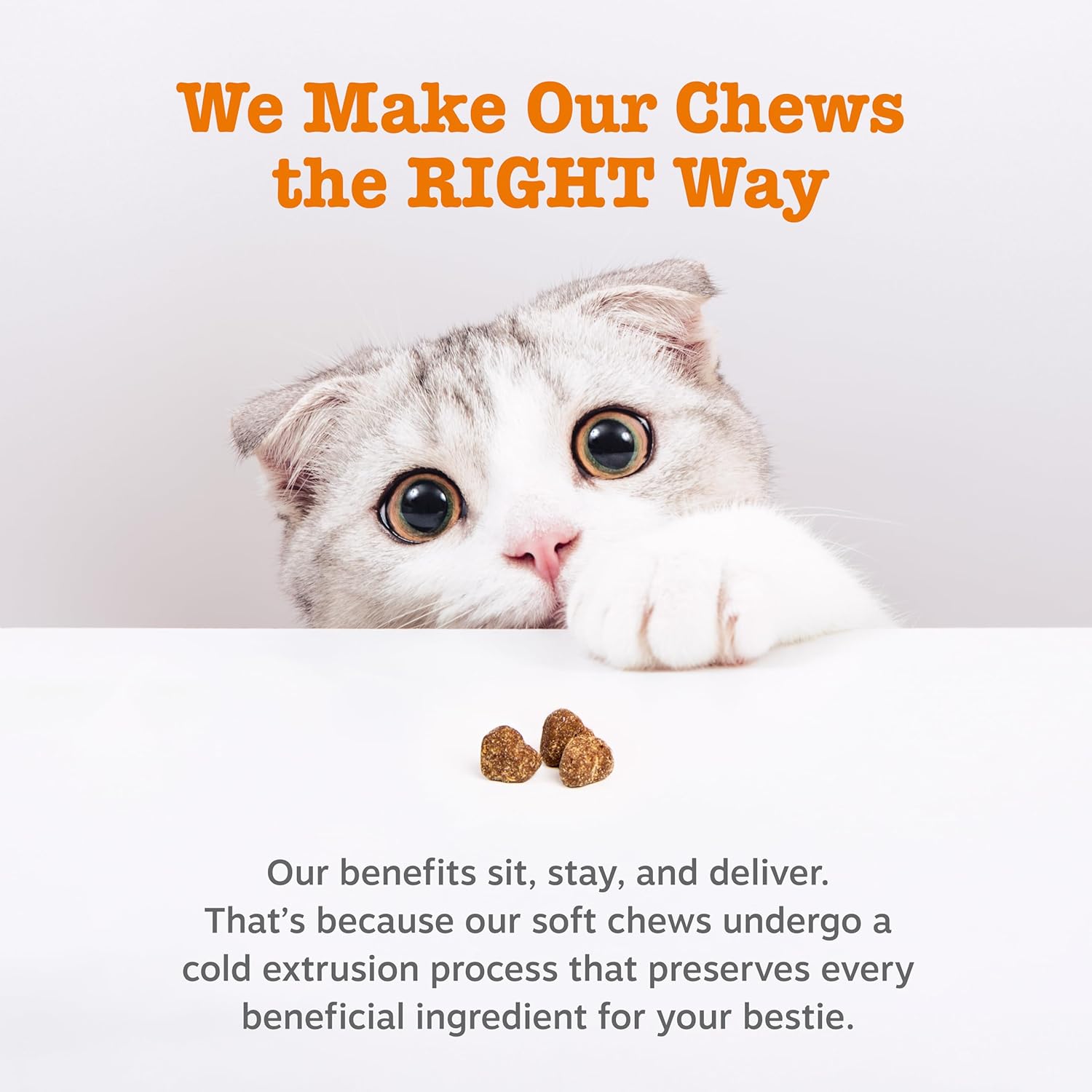 USA sourced Zesty Paws cat calming bites containing Suntheanine and Ashwagandha details