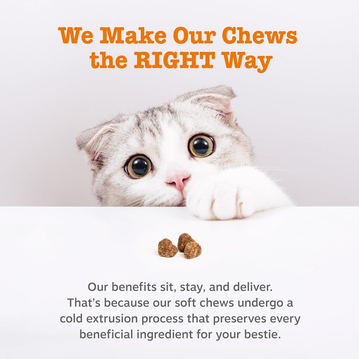 Cat enjoying Zesty Paws bacon flavored soft chew supplement