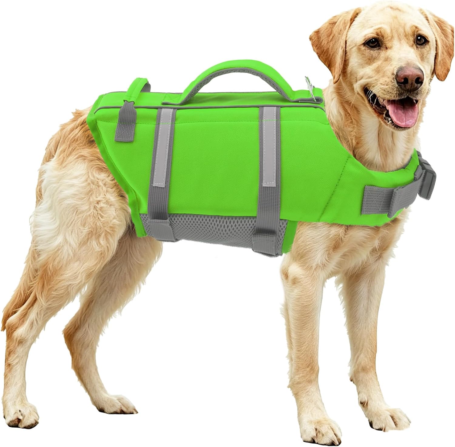 EMUST Dog Life Jacket, XL, NewOrange, Waterproof, Breathable, Adjustable with Rescue Handle, for Swimming Pool Beach Boating - Image 13