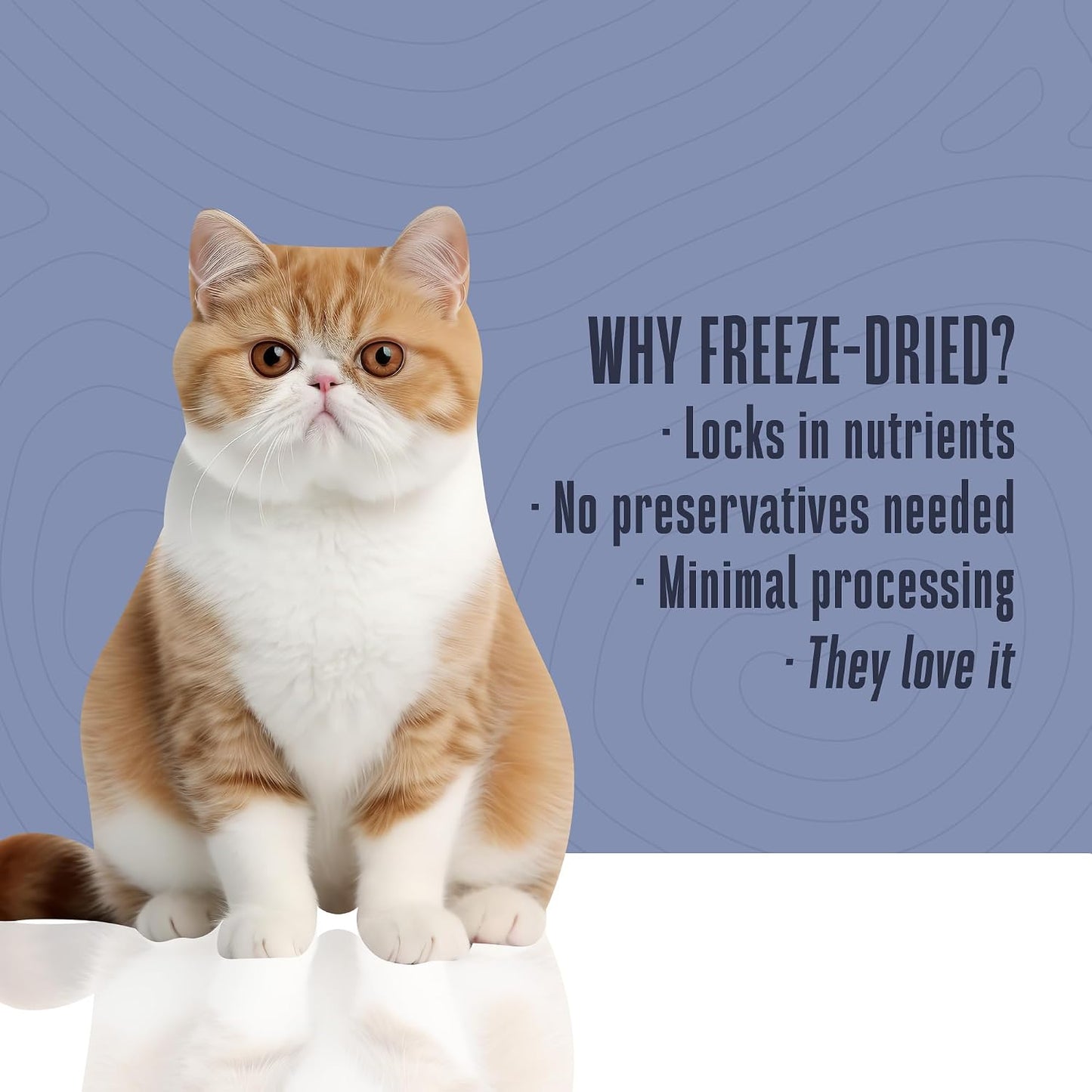 Whole Life Pet Products turkey treats being crumbled as a healthy cat food topper