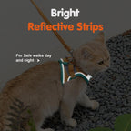 Blue X-Large kitten harness button adjustable rope structure system