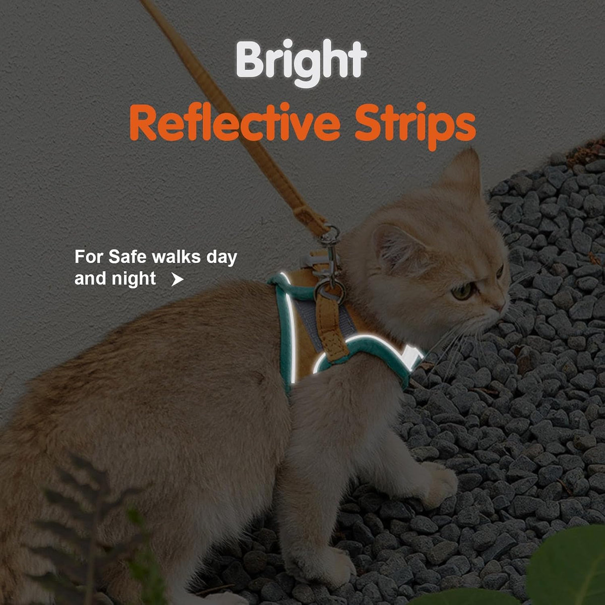 Blue X-Large kitten harness button adjustable rope structure system