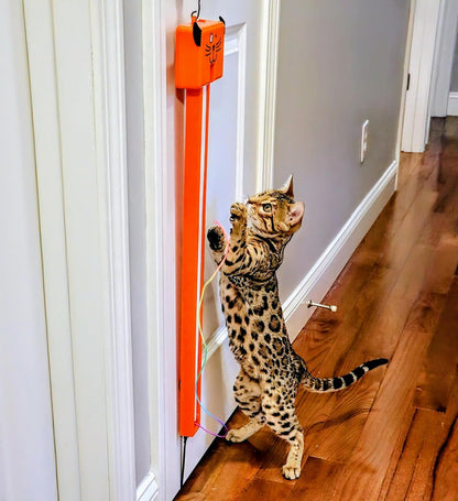 Close up of the dual speed switch on the interactive cat toy.