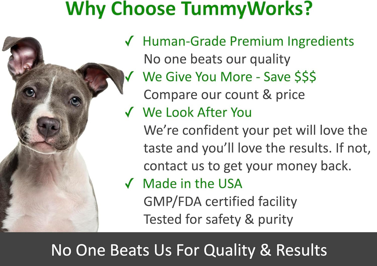 Authentic TummyWorks pet supplement for diarrhea and gas relief.