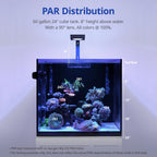 Blue focused spectrum illumination over soft corals in a marine setup