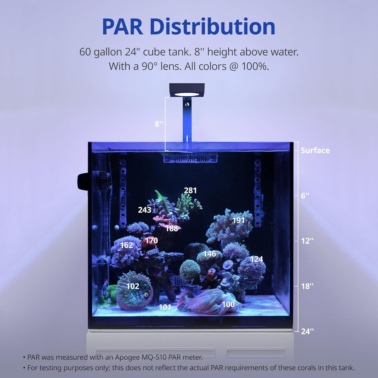 Blue focused spectrum illumination over soft corals in a marine setup