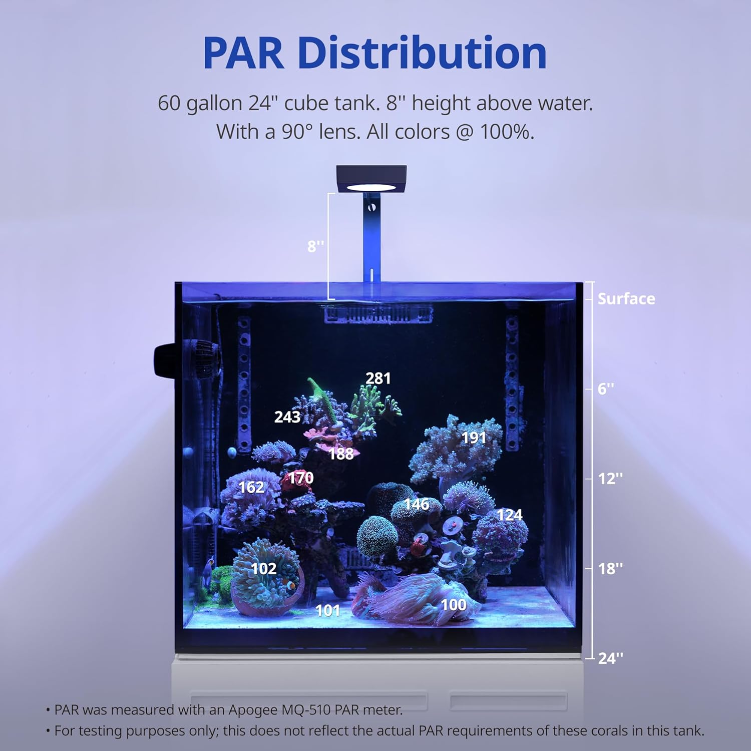 Blue focused spectrum illumination over soft corals in a marine setup