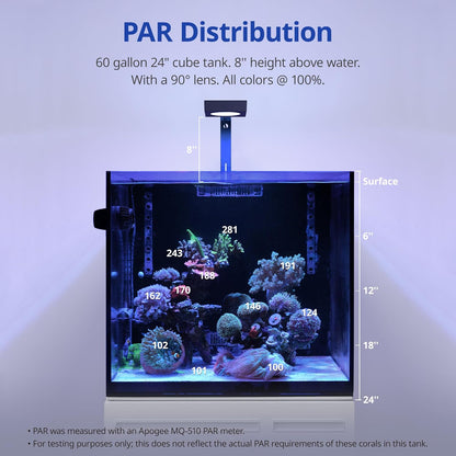 Blue focused spectrum illumination over soft corals in a marine setup