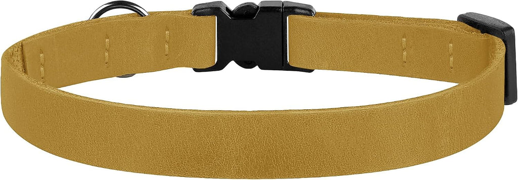 Premium leather kitten collar with metallic attachment ring and safety lock