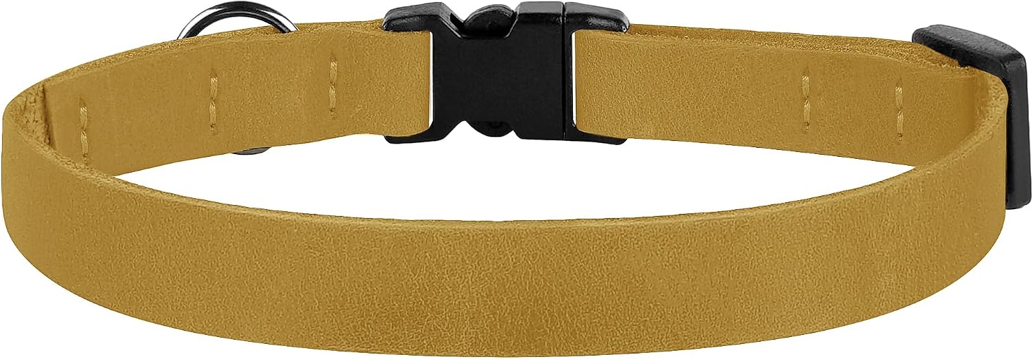 Premium leather kitten collar with metallic attachment ring and safety lock