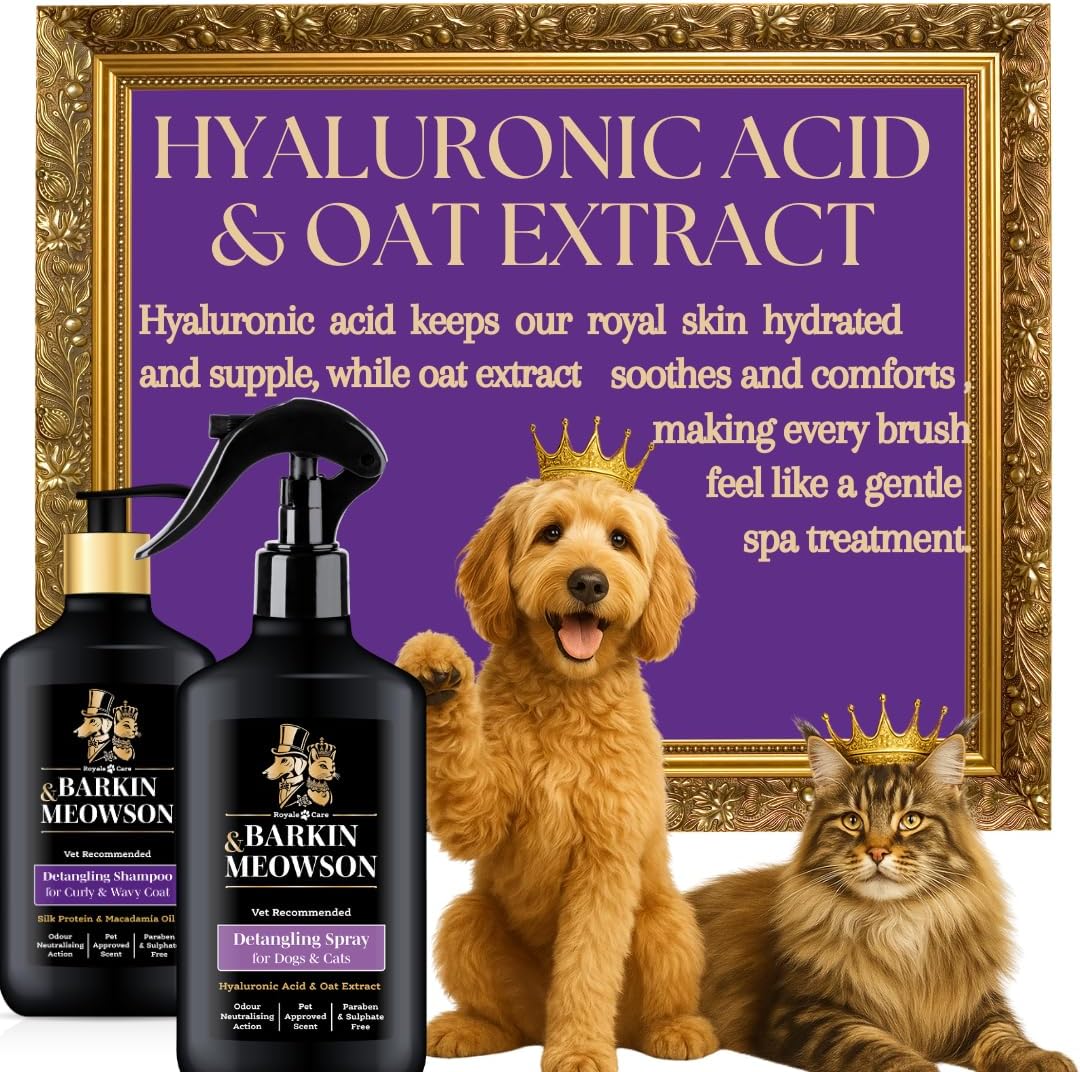 Barkin And Meowson detangling spray bottle next to grooming comb