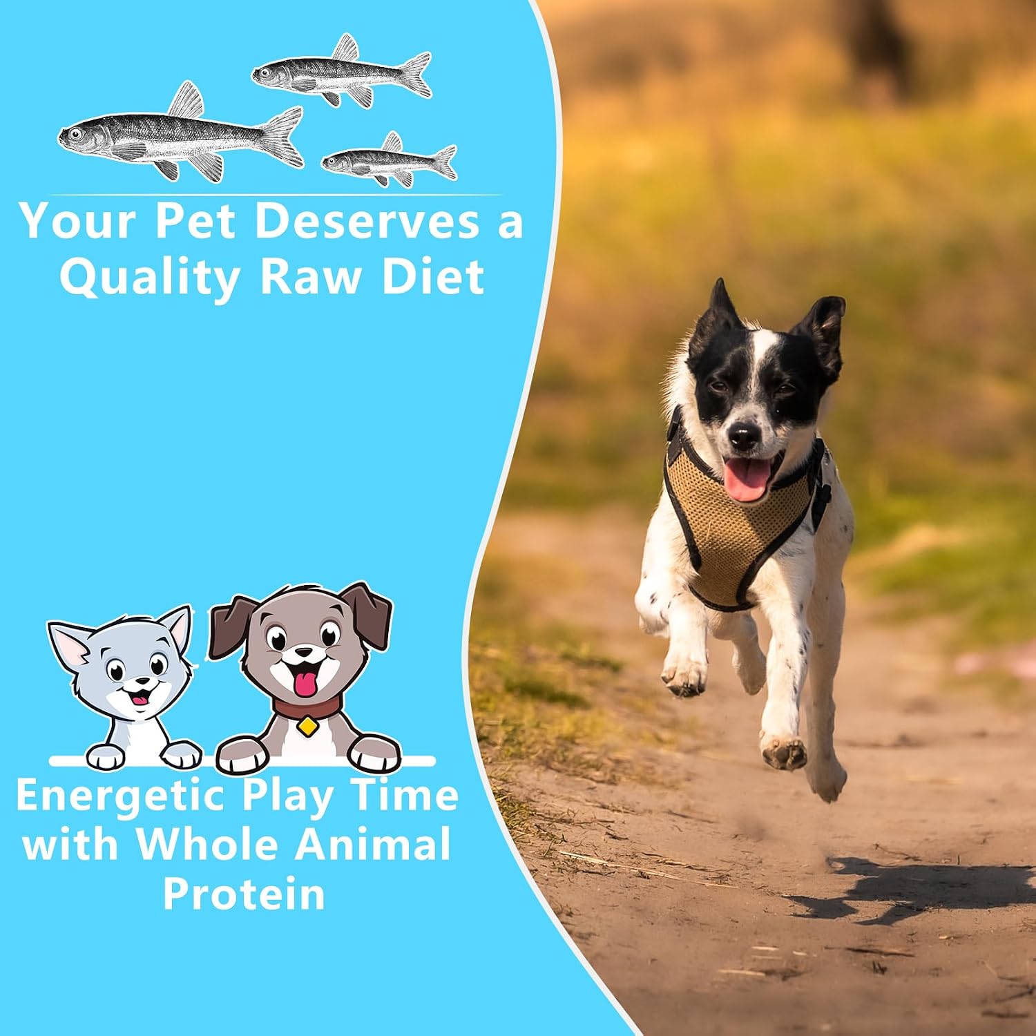 Jadingsfarm 100 percent natural grain free raw pet snacks jar