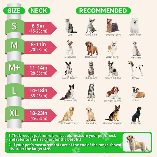 Dog wearing AThooDel inflatable recovery collar with clear shield