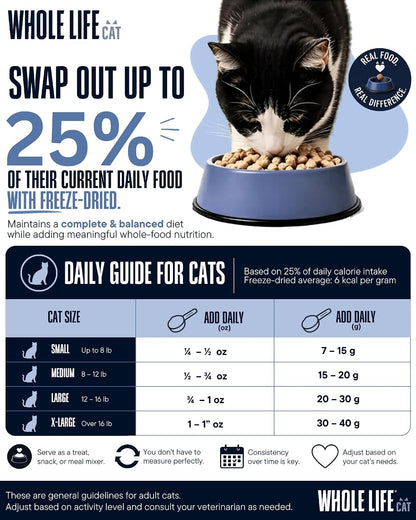Instantly hydrating natural broth cat food topper texture demonstration