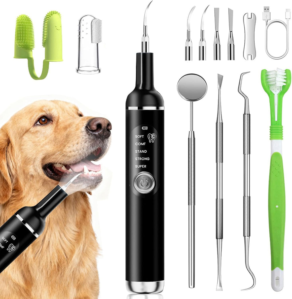 Pet Ultrasonic Tooth Cleaner,Dog Plaque Remover Tool,White | dog teeth cleaning,plaque remover for teeth,dog tartar and plaque remover,plaque off for dogs,5 Mode Pet Teeth Cleaning Kit - Image 10