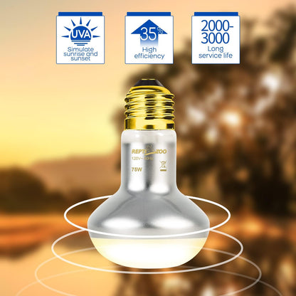 REPTI ZOO infrared red heat lamp bulb providing nocturnal ambient warmth for reptiles.