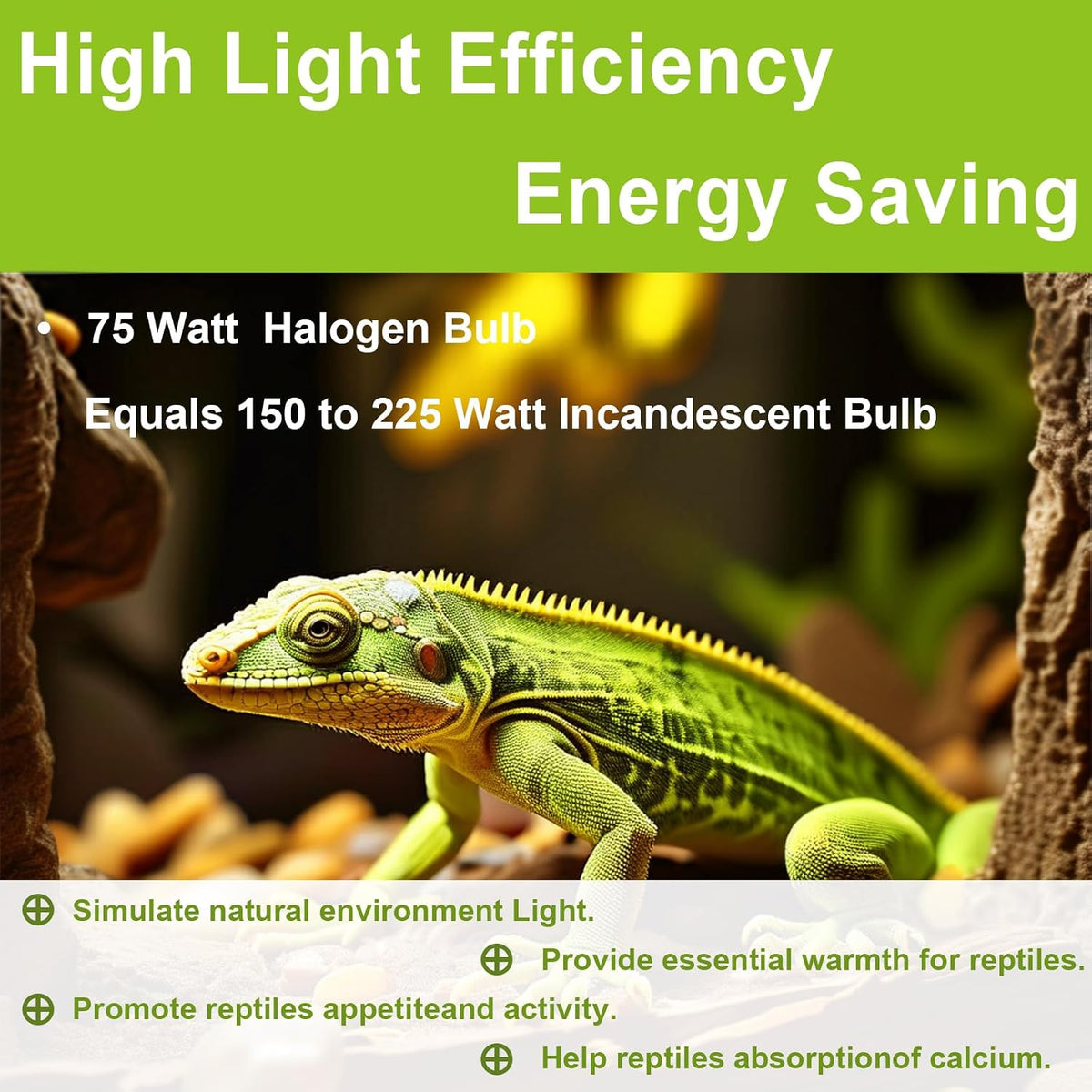 Full spectrum ultraviolet reptile light replacement bulb pack of six close up.