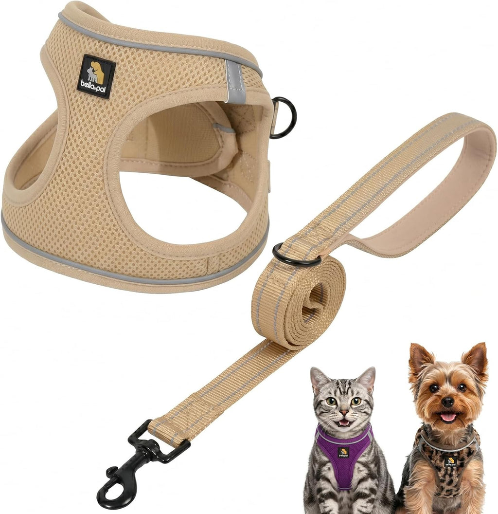 BELLA & PAL Step in Vest Harness for Small and Medium Dogs, No Pull Small Dog Harness with Leash Set, Comfortable Air Mesh Puppy Vest Harness with Reflective Strip (Lavender, XS) - Image 11