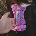 Wilderdog medium dog harness side profile with reflective straps