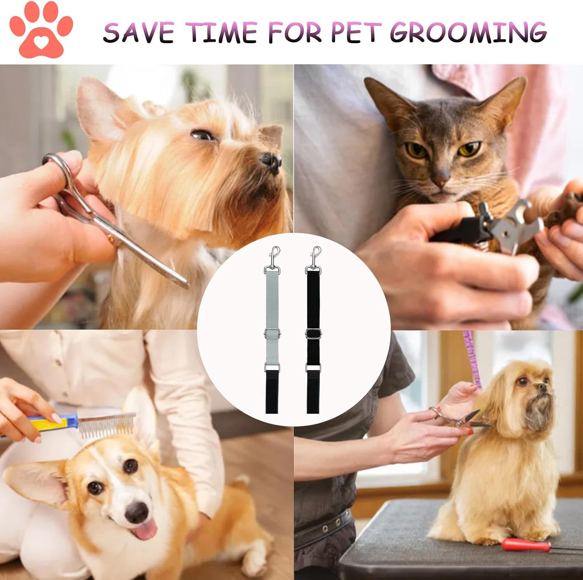 Cuteabc grooming loop attached to a dog collar