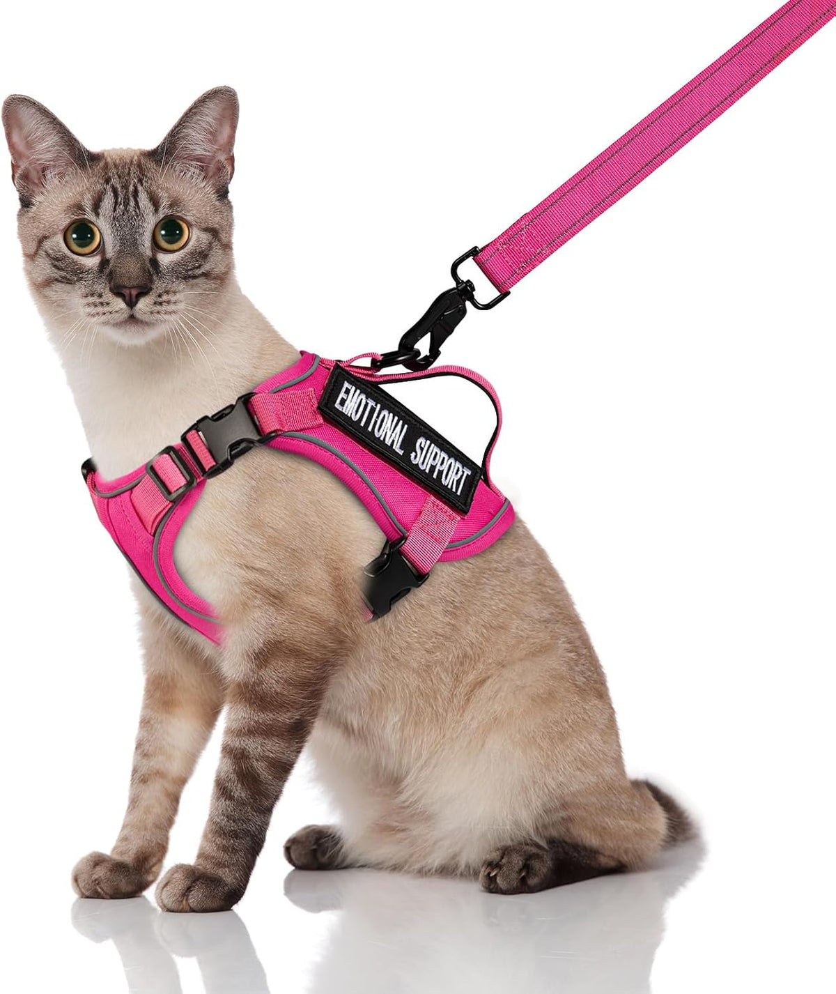 Tactical Cat Harness and Leash, Escape Proof Large Cat Walking Vest,Adjustable Soft Mesh Pet Vest Harness with Control Handle, Molle Patches Khaki - Image 11
