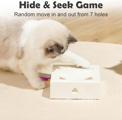 Close up view of the seven hole whack a mole AI layout on the white Migipaws pet toy.