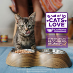 Box of twenty four cat food pouches USA imported